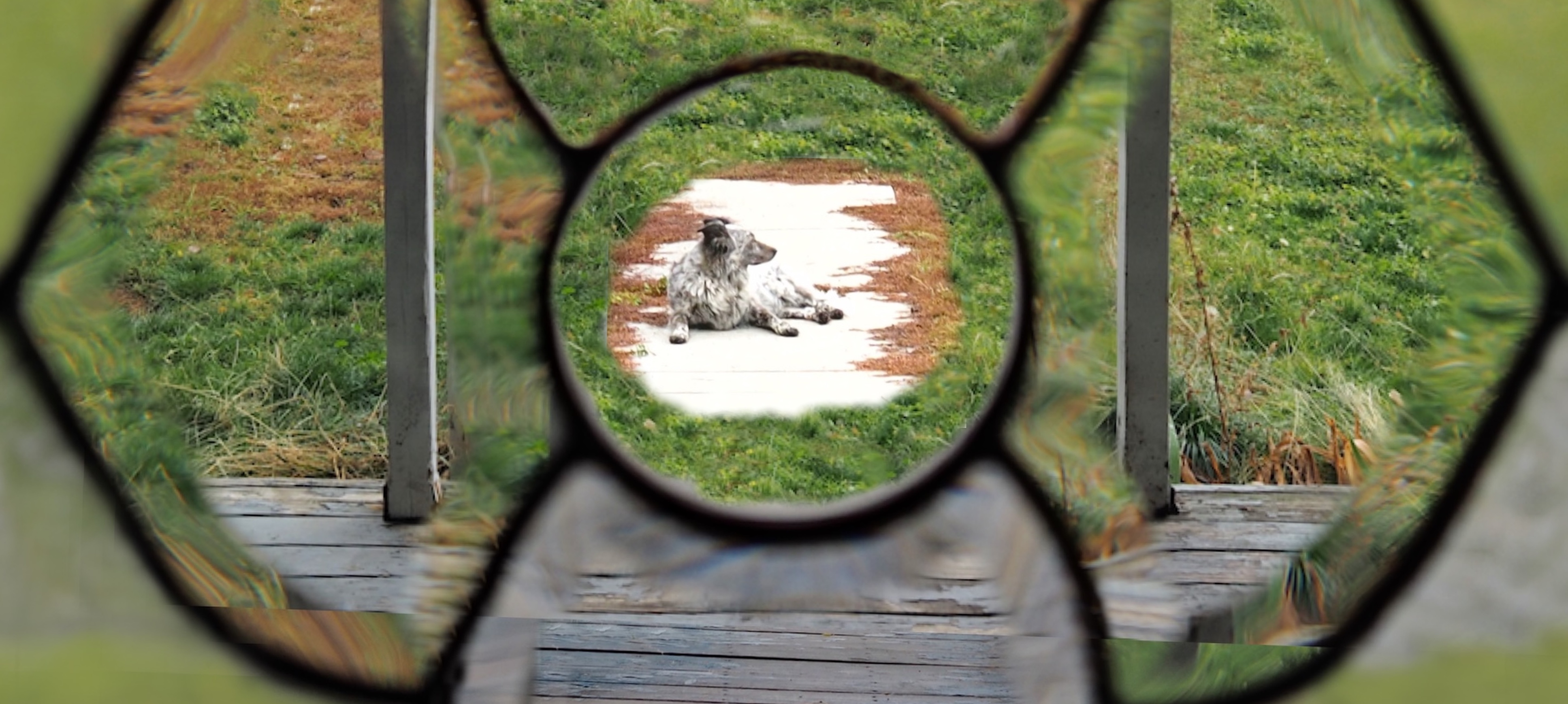 Looking through front door leaded glass. - Democratic Underground Forums